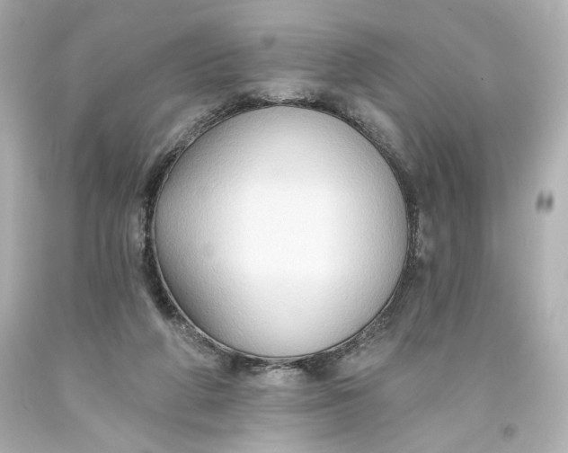 X0000093560210200710291026