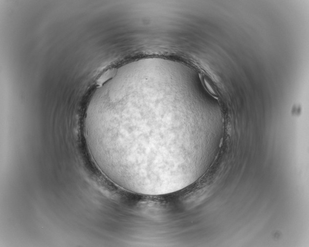 X0000093560211200710291026