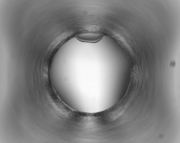 X0000093560212200710291026