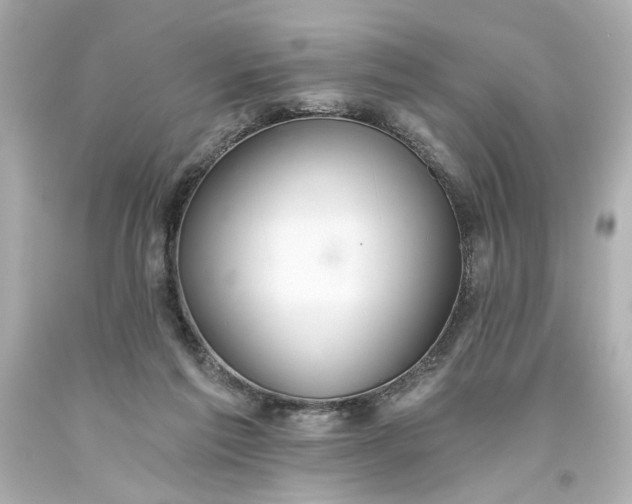 X0000093560213200710291026