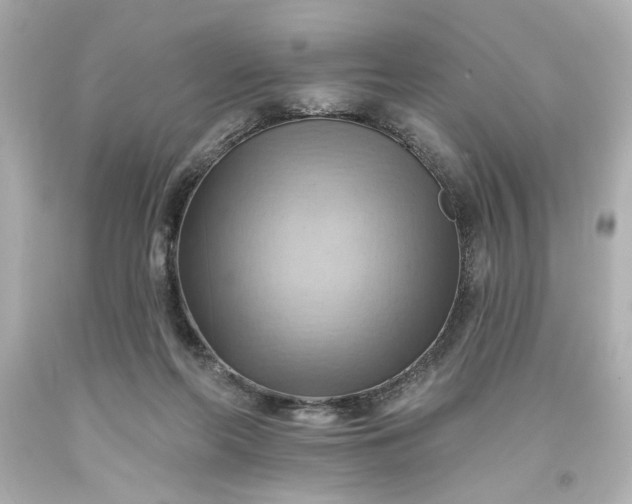 X0000093560214200710291026