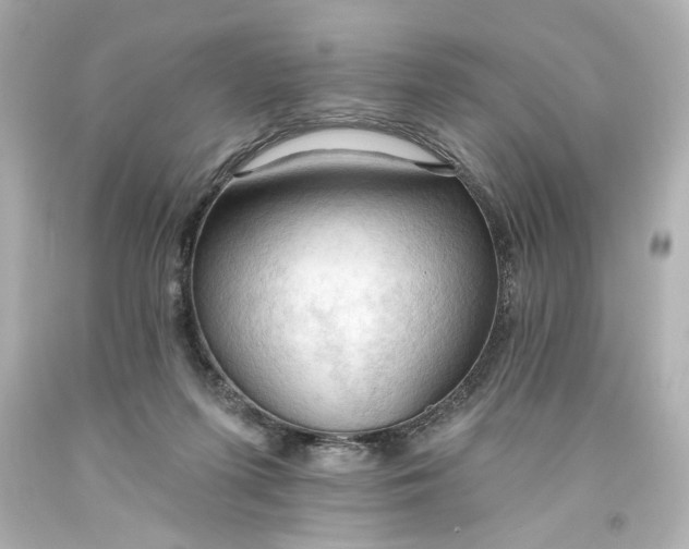 X0000093560215200710291026