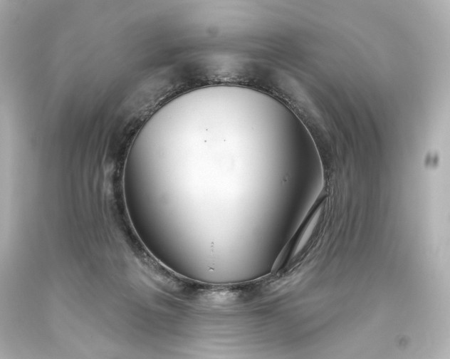 X0000093560217200710291026