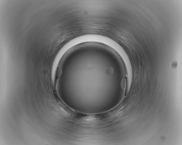 X0000093560219200710291026