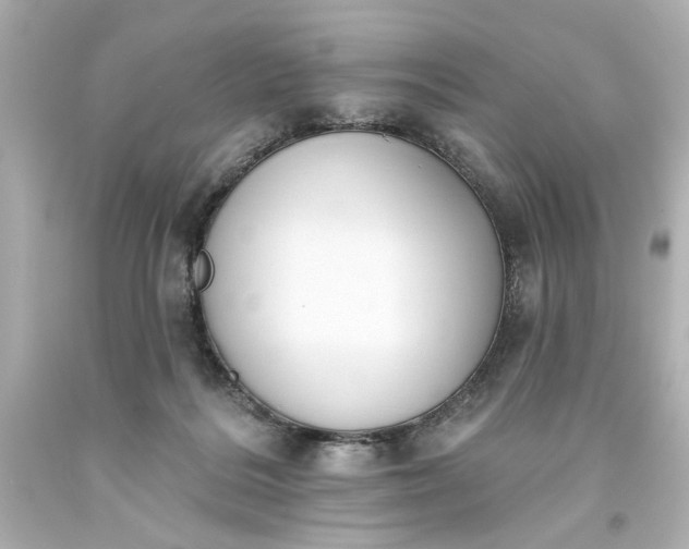 X0000093560220200710291026