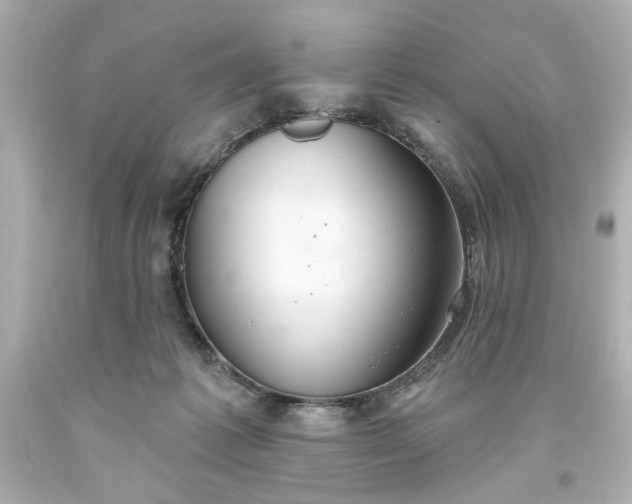 X0000093560221200710291026