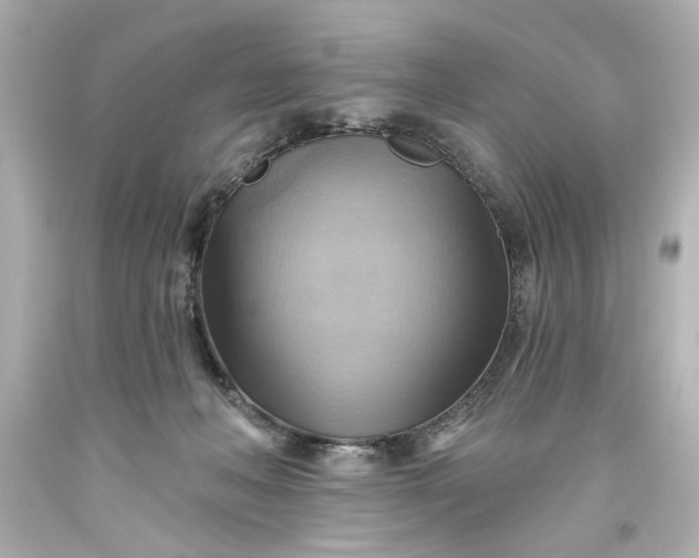 X0000093560222200710291026