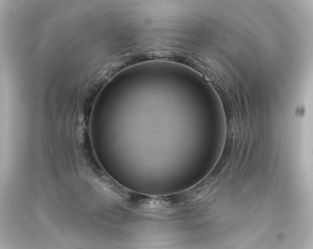 X0000093560223200710291026