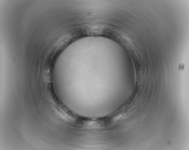 X0000093560224200710291026