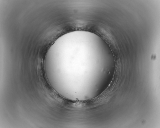 X0000093560225200710291026