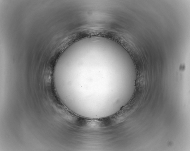 X0000093560226200710291026