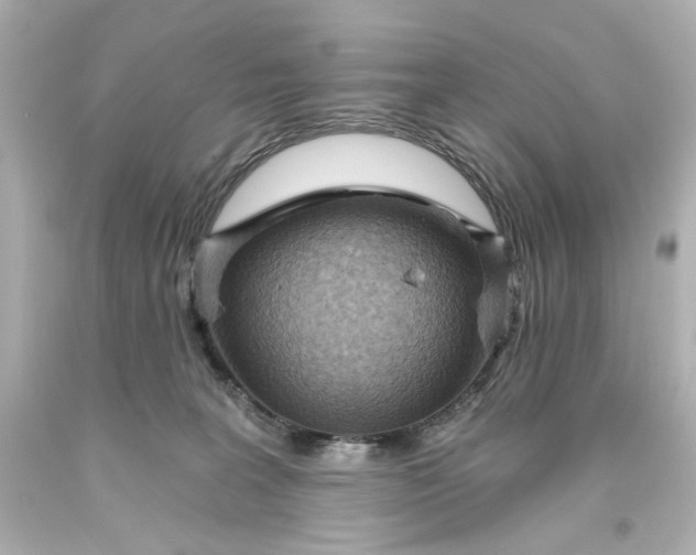 X0000093560227200710291026