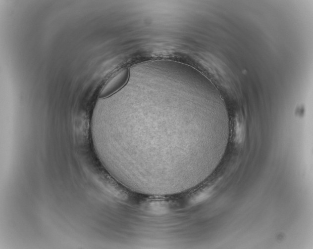 X0000093560228200710291025