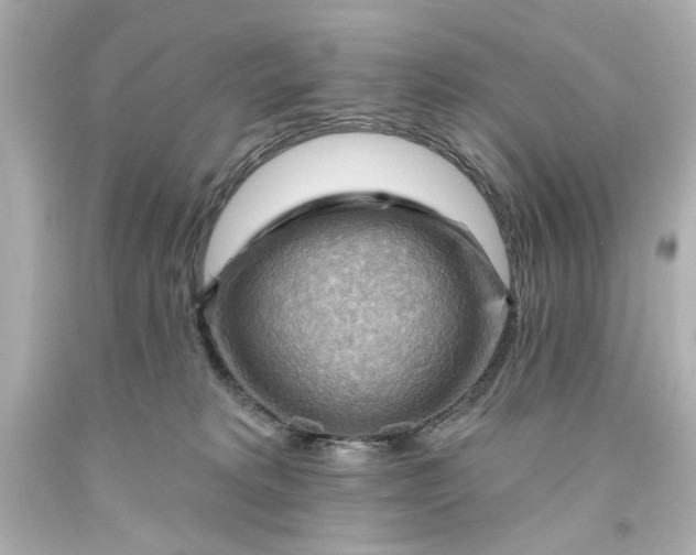 X0000093560229200710291025