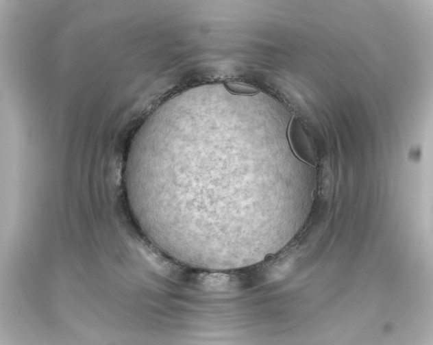 X0000093560230200710291025