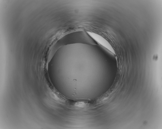 X0000093560231200710291025