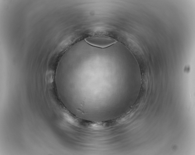 X0000093560232200710291025