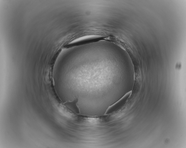 X0000093560233200710291025