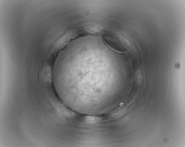 X0000093560234200710291025