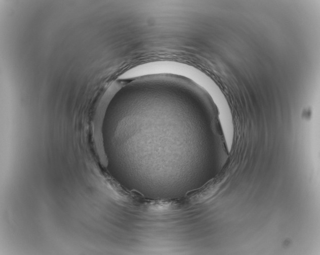 X0000093560235200710291025