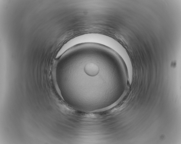 X0000093560237200710291025