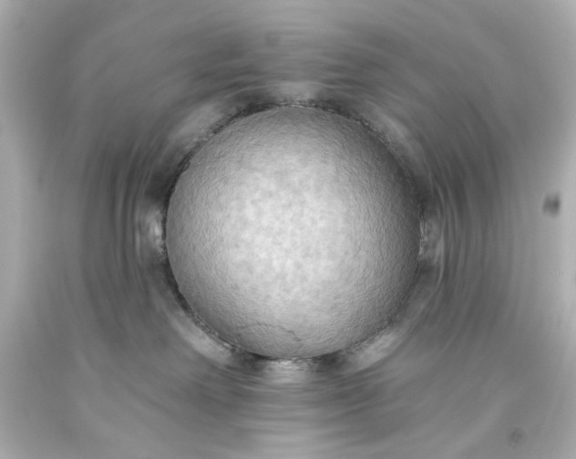 X0000093560238200710291025