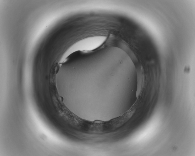 X0000093560239200710291025