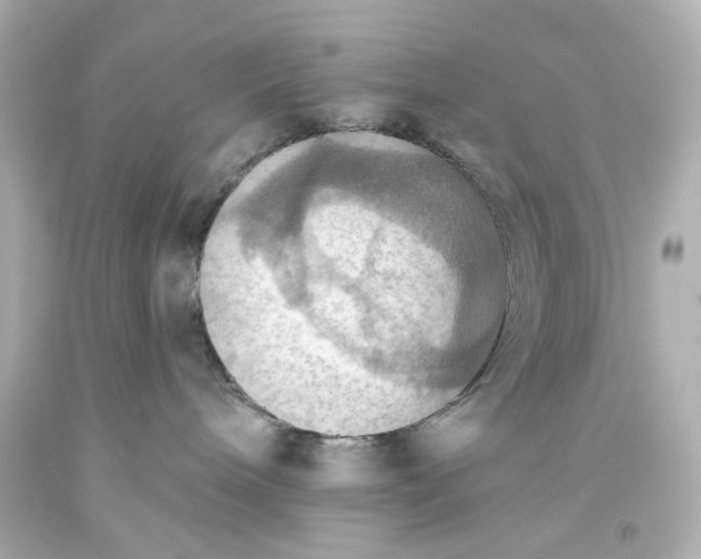 X0000093560240200710291025