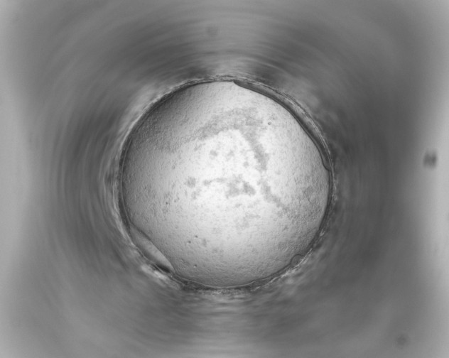 X0000093560241200710291025