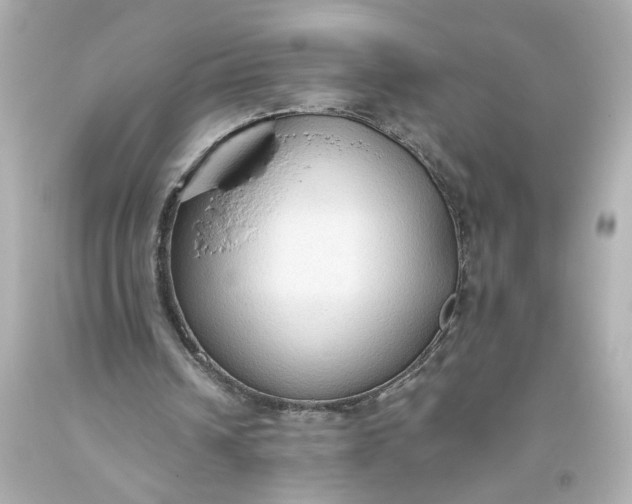 X0000093560242200710291025