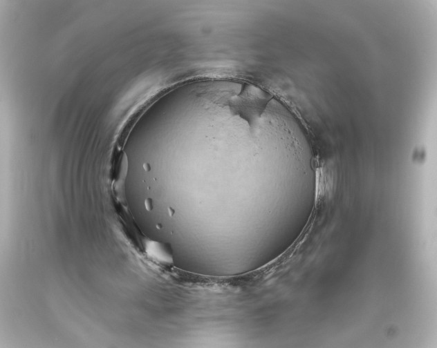 X0000093560243200710291025