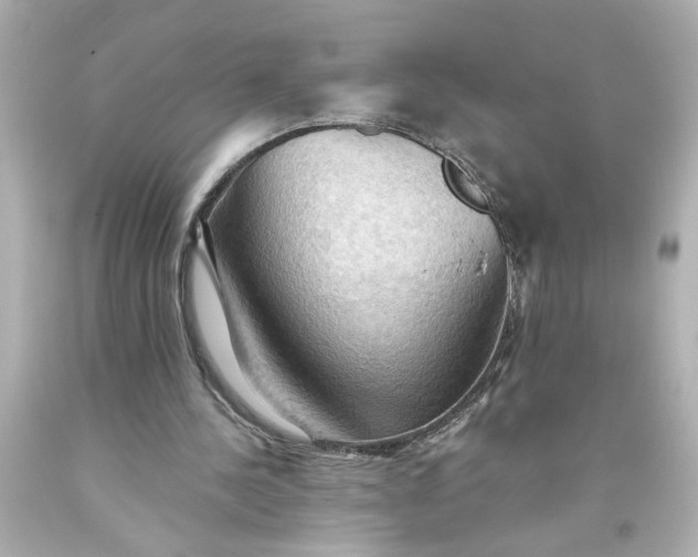 X0000093560244200710291025