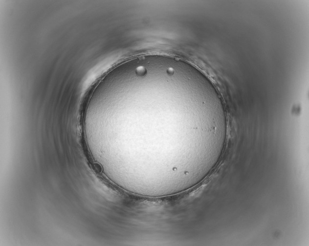 X0000093560245200710291025