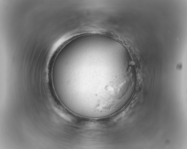 X0000093560246200710291025