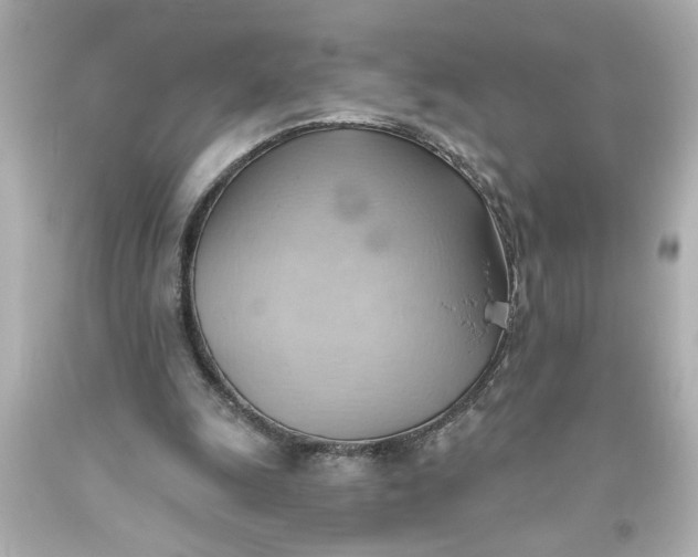 X0000093560247200710291025