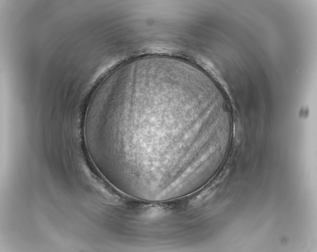 X0000093560249200710291025