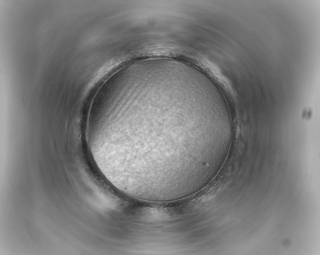 X0000093560250200710291025