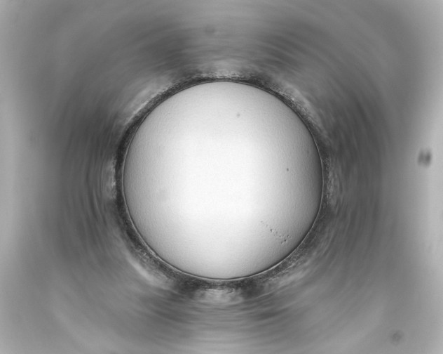 X0000093560251200710291025