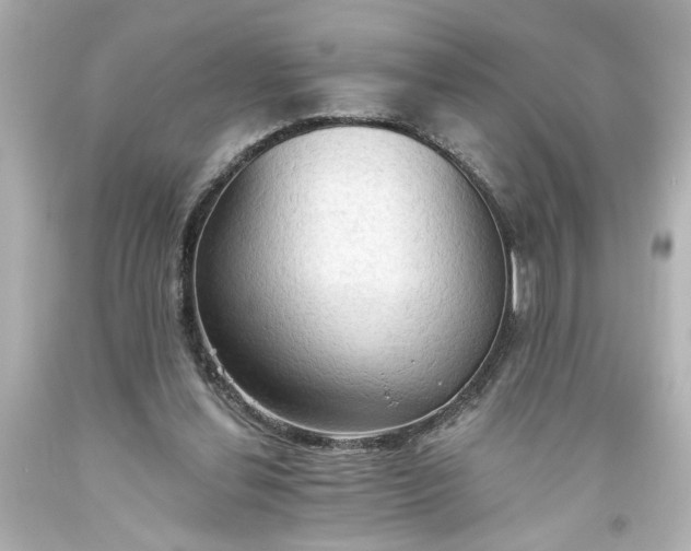 X0000093560252200710291025