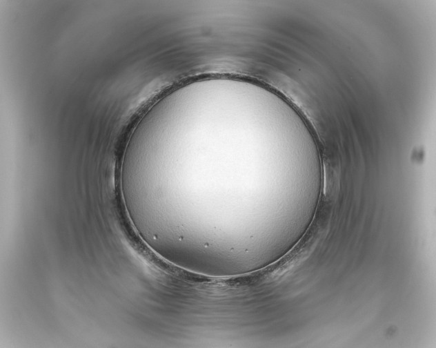 X0000093560253200710291025