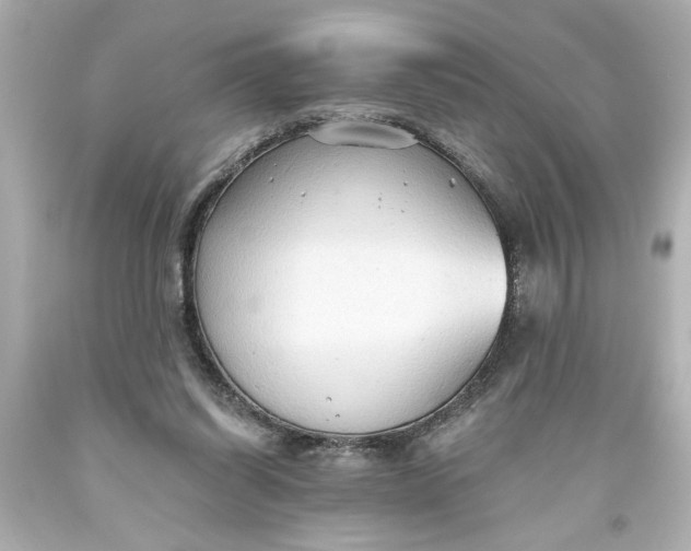 X0000093560254200710291025