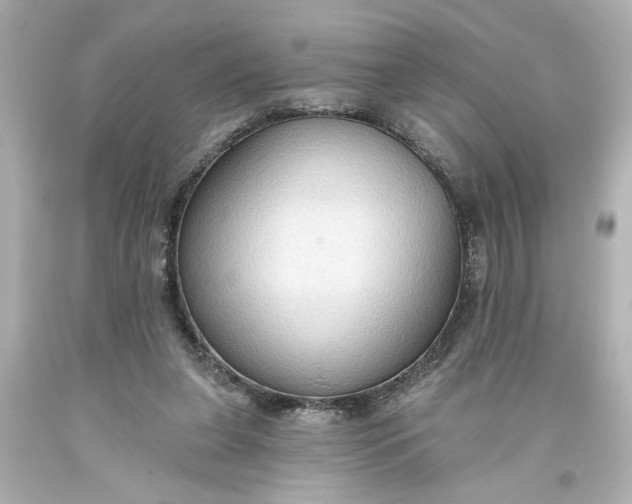 X0000093560255200710291025