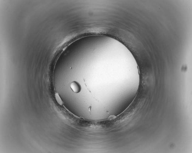 X0000093560256200710291025