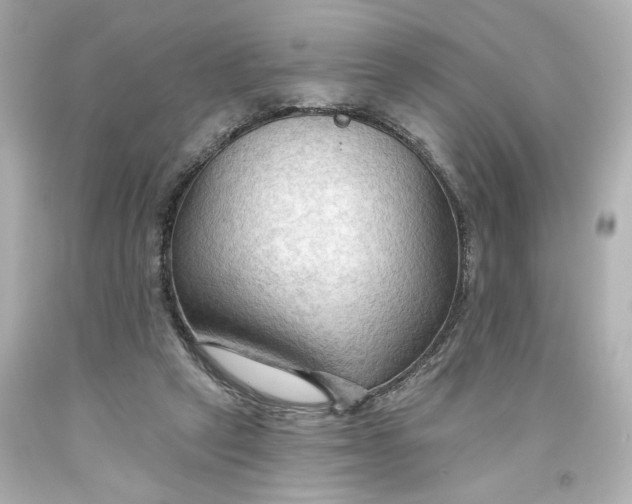 X0000093560257200710291025