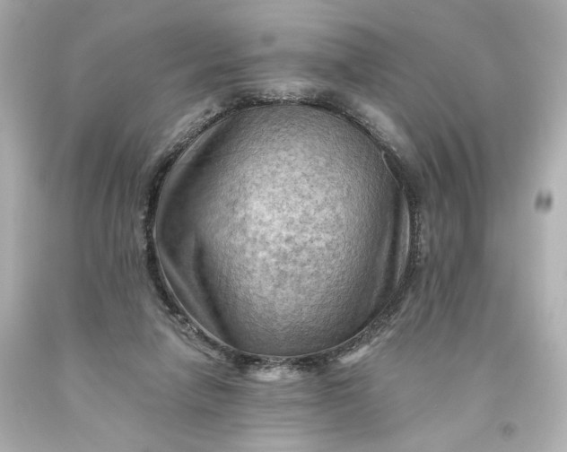 X0000093560258200710291025