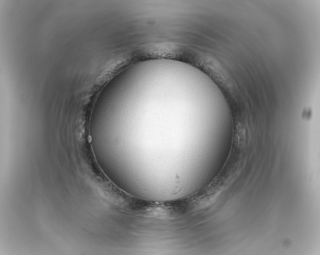 X0000093560259200710291025