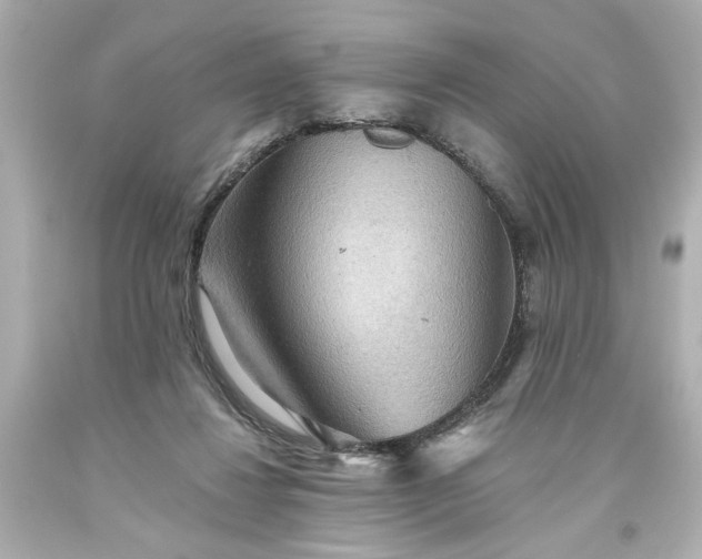 X0000093560260200710291025