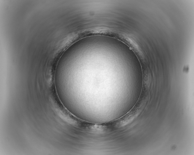 X0000093560261200710291025