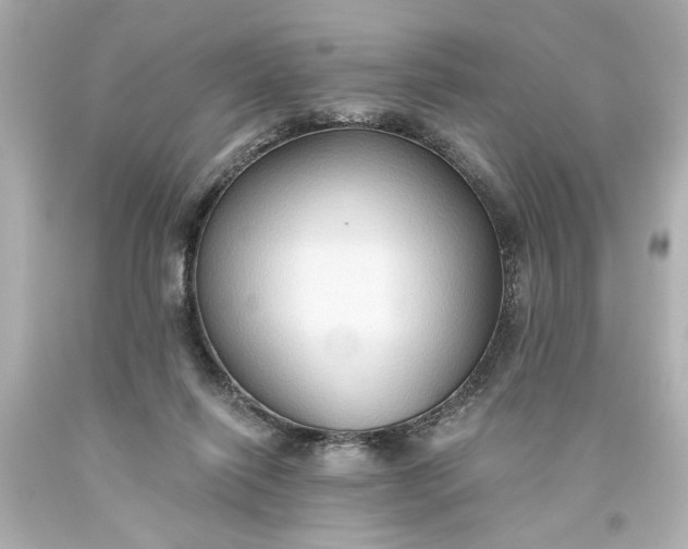 X0000093560262200710291025