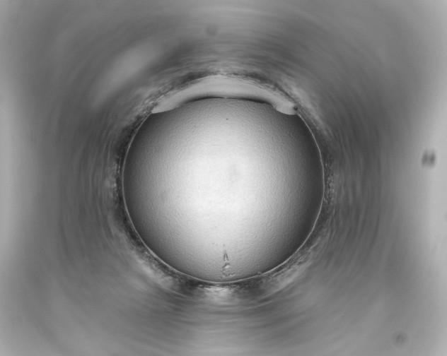 X0000093560265200710291025